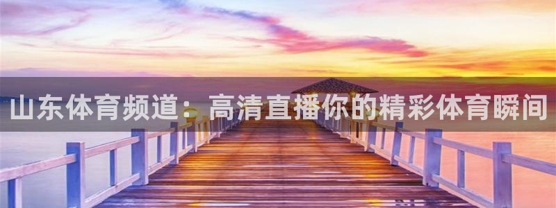 蜘蛛体育小狐狸：山东体育频道：高清直播你的精彩体育瞬间