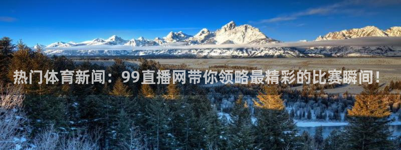 nba在线直播免费观看直播蜘蛛直播：热门体育新闻：99直播网带你领略最精彩的比赛瞬间！